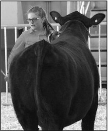 2019 Fond du Lac County Fair Blue Ribbon Winners