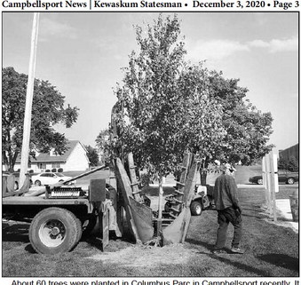 Tree Replacements At  Columbus Parc