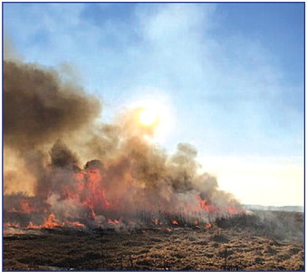 WDNR’s Prescribed Burns in Local Marshlands to Reduce   Fire Hazards and Improve Vegetation