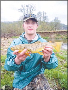 Wisconsin Conservation Congress/Spring Hearings